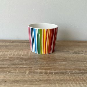 Rainbow plant pot